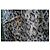 Autre Marque Calças com estampa de leopardo elásticas poliéster 38 fr - Ansicht 10