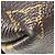 Louis Vuitton Monogram Saint-Placide Shoulder Bag Brown Dark red - view 3