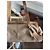Borsa Tod's beige in cotone e pelliccia - vista 2