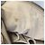 Borsa a Spalla Nimbus GM Monogram Olympe Louis Vuitton Beige Crudo - vista 16