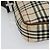 Borsa a Spalla Nova Check in Tela Beige e Argento di BURBERRY Auth bs28525 - vista 14