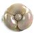 Autre Marque Fermaglio per Capelli Camelia in Cristallo Swarovski Alexandre de Paris Grigio