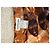 Thierry Mugler Mugler Abendkleid, Modell Mask Printed Braun Orange - Ansicht 4