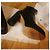 Stivaletti LILDE Isabel Marant in pelle nera Nero - vista 9