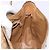 Céline Bolsa de Ombro em Lona Macadam CELINE PVC Bege Ouro Auth 137286 Dourado - vista 19