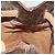 Céline Borsa a Spalla in Tela Macadam CELINE in Pelle PVC Marrone Oro Auth 136070 D'oro - vista 18