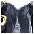 Borsa a Spalla Gancini con Catena Salvatore Ferragamo Smalto Nero Oro Auth 139352 - vista 18