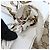 Borsa Tote GG Canvas Gucci 153033 Bianco - vista 7
