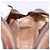 Borsa a Spalla Gucci GG Supreme Web Sherry Line PVC Beige Oro Auth BA4929 D'oro - vista 19