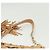 Borsa a spalla in pelle beige e oro con borchie Jimmy Choo Auth BA5032 D'oro - vista 8