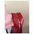Borsa a mano Gerard Darel in pelle rossa Rosso - vista 5