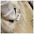 Borsa a Spalla con Catena PRADA in Nylon Verde Argento Autentica 139976 - vista 12