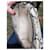 Zadig & Voltaire Optimist Tasche beige Python Muster Leder  - Ansicht 13