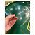 Spilla Sidney Carron in metallo argentato Argento - vista 4