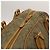 Gucci Borsa Boston GG Canvas 2way Oro Beige Auth ep10259 D'oro - vista 7