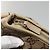 Borsa a Spalla Abbey GG Canvas Gucci Beige Oro 131326 Auth SW1474 D'oro - vista 14