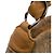 Chanel Hobo Camelia in Suede Marrone CC Marrone chiaro - vista 9
