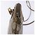 Gucci Borsa GG Supreme Web Sherry Line in PVC beige e oro 98 02 047 Auth fm4861 D'oro - vista 8