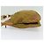 Borsa a Spalla PRADA in Nylon Pelle Beige Oro Auth 140625 D'oro - vista 3