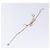 Bracciale in pelle beige Christian Dior Auth am8986 - vista 6