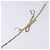 Bracciale in pelle beige Christian Dior Auth am8986 - vista 8