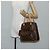 LOUIS VUITTON Borsa a Mano Monogram Exantri Cite M51161 LV Auth am8677V Monogramma - vista 28