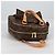 LOUIS VUITTON Borsa a Mano Monogram Exantri Cite M51161 LV Auth am8677V Monogramma - vista 6