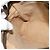 Borsa a Spalla GUCCI GG Supreme Web Sherry Line PVC Beige Oro Rosso Auth ep10859 D'oro - vista 18