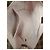 Louis Vuitton Conjunto completo de jersey Magnolia Marrom - vista 9