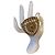 Chanel Seltene XL 11C Saint Tropez Runway Statement Gold Gripoix Perlenring Größe US 6 EU 52 Braun Beige Golden Gold hardware - Ansicht 4
