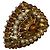 Chanel Seltene XL 11C Saint Tropez Runway Statement Gold Gripoix Perlenring Größe US 6 EU 52 Braun Beige Golden Gold hardware - Ansicht 9