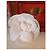 Spilla Camelia Chanel Grande Bianco Bianco sporco - vista 10