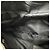 Autre Marque Borsa a vita con logo Hunting World Nero - vista 12
