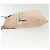 Borsa a Spalla GG Canvas Sherry Line Gucci Rosa Argento Kaki 145809 Auth 141421 Cachi - vista 5