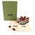 Sneakers stringate Gucci Palace GG Supreme con logo in metallo Marrone - vista 2