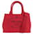 Borsa mini Canapa di Prada Rosso  - vista 1