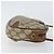 Borsa Sherry Line GG Supreme Web di GUCCI in PVC Beige e Oro 89 02 066 Auth 142438 D'oro - vista 3