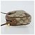 Borsa Sherry Line GG Supreme Web di GUCCI in PVC Beige e Oro 89 02 066 Auth 142438 D'oro - vista 4
