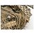 Chloé CHLOE BETTY SHOULDER BAG PYTHON LEATHER HAND BAG - view 7