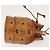 Borsa a Spalla MCM Logogram Vicetos in Pelle PVC Marrone Oro Auth BA6085 D'oro - vista 3