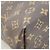 Borsa a Spalla Graceful PM Monogramma Louis Vuitton Marrone Rosa - vista 6