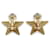Chanel Orecchini a clip CC Logo Star GP Rosa - vista 2