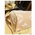 Louis Vuitton Speedy 25 Bandoulière Beige - vista 15