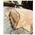 Louis Vuitton Speedy 25 Bandoulière Beige - vista 8