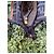 Selleria Fendi Pumpkin Handtasche aus Stoff Mehrfarbig - Ansicht 10
