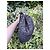 Selleria Fendi Pumpkin Handtasche aus Stoff Mehrfarbig - Ansicht 6