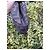 Selleria Fendi Pumpkin Handtasche aus Stoff Mehrfarbig - Ansicht 8