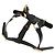 Gucci Interlocking G Pet Harness Black - view 3