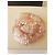Spilla Camelia Chanel Paillettes Rosa - vista 3