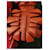 Prada Cloudbust Thunder Red  - view 6